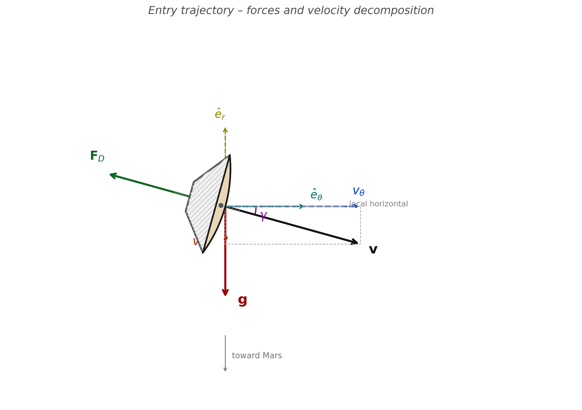 Free-body diagram at the capsule